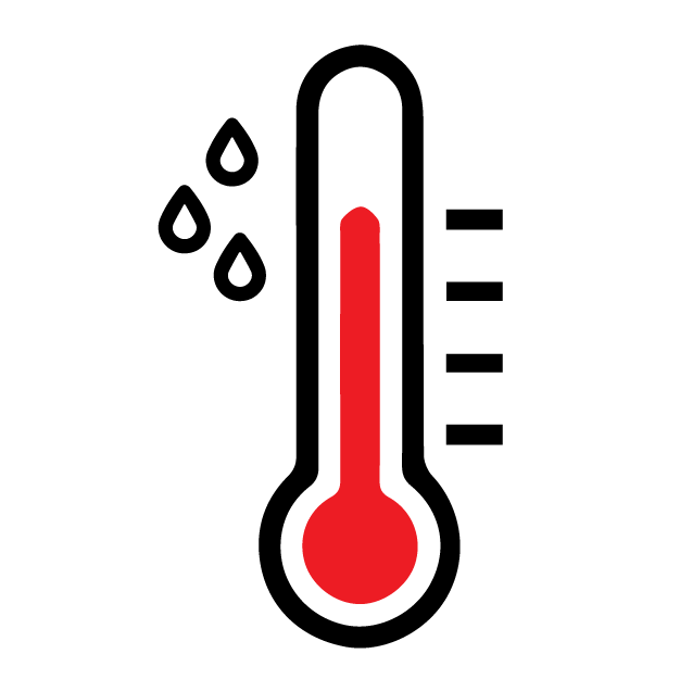 icon of a thermometer